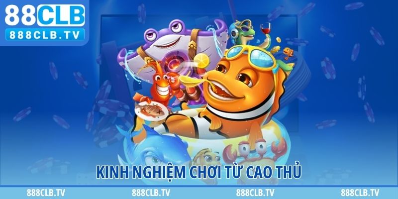 Kinh nghiệm chơi từ cao thủ